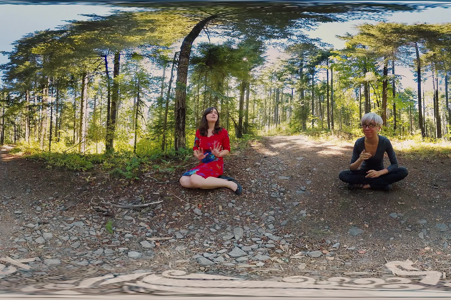 Raven's VR Interview