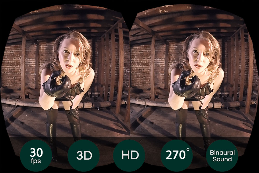 The Mistress T Collection: J.O.I. - As you wish, dominé.